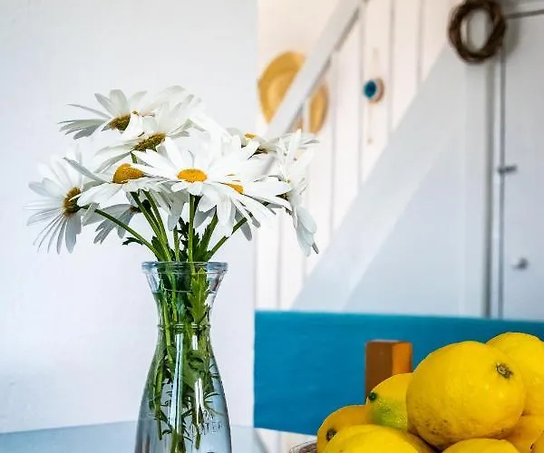 Case de vacanță Pastalia *